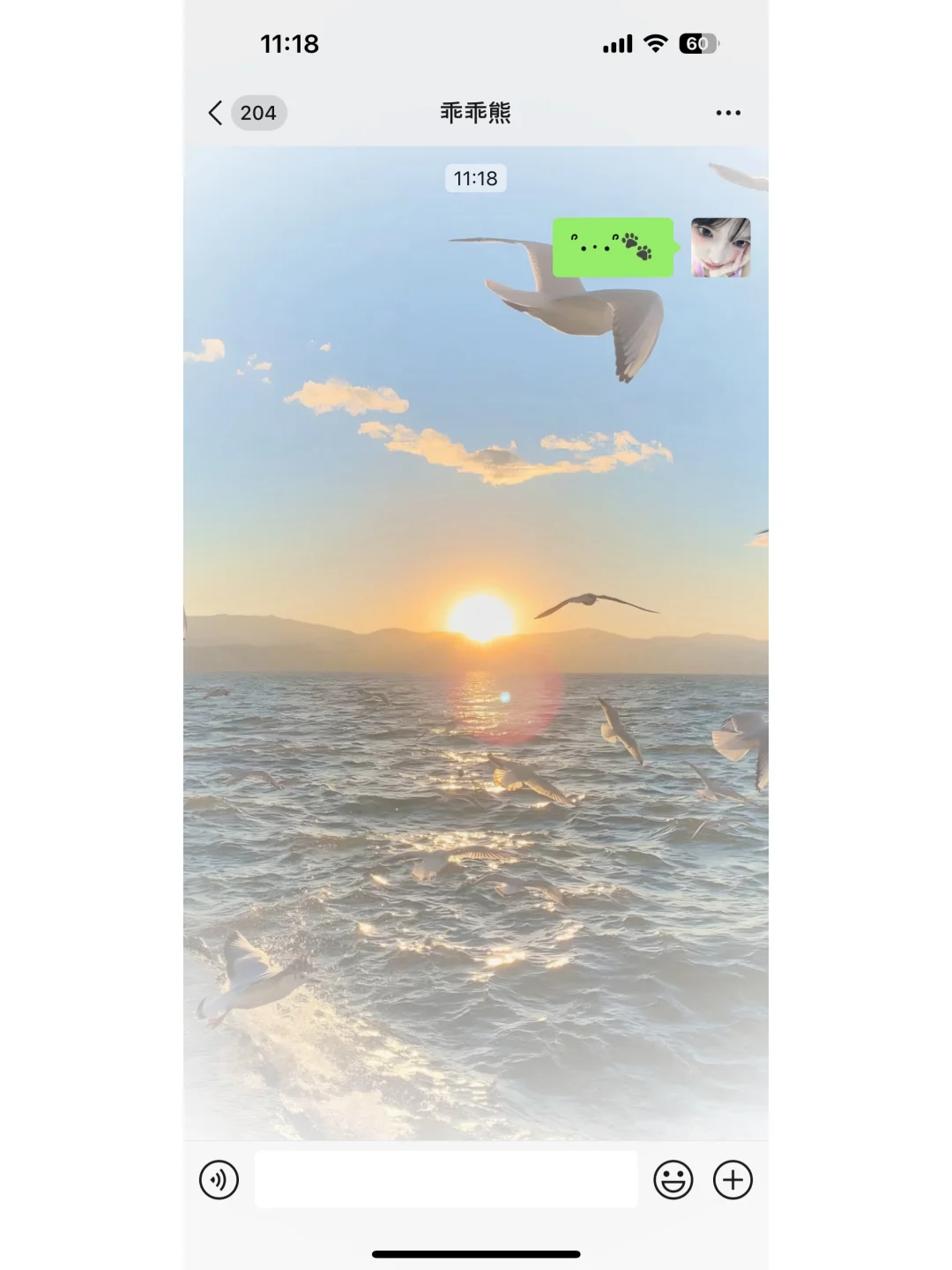 夏日慵懒风微信聊天背景分享！！