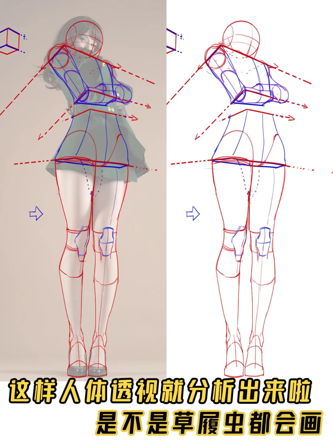 一个人体透视小教程