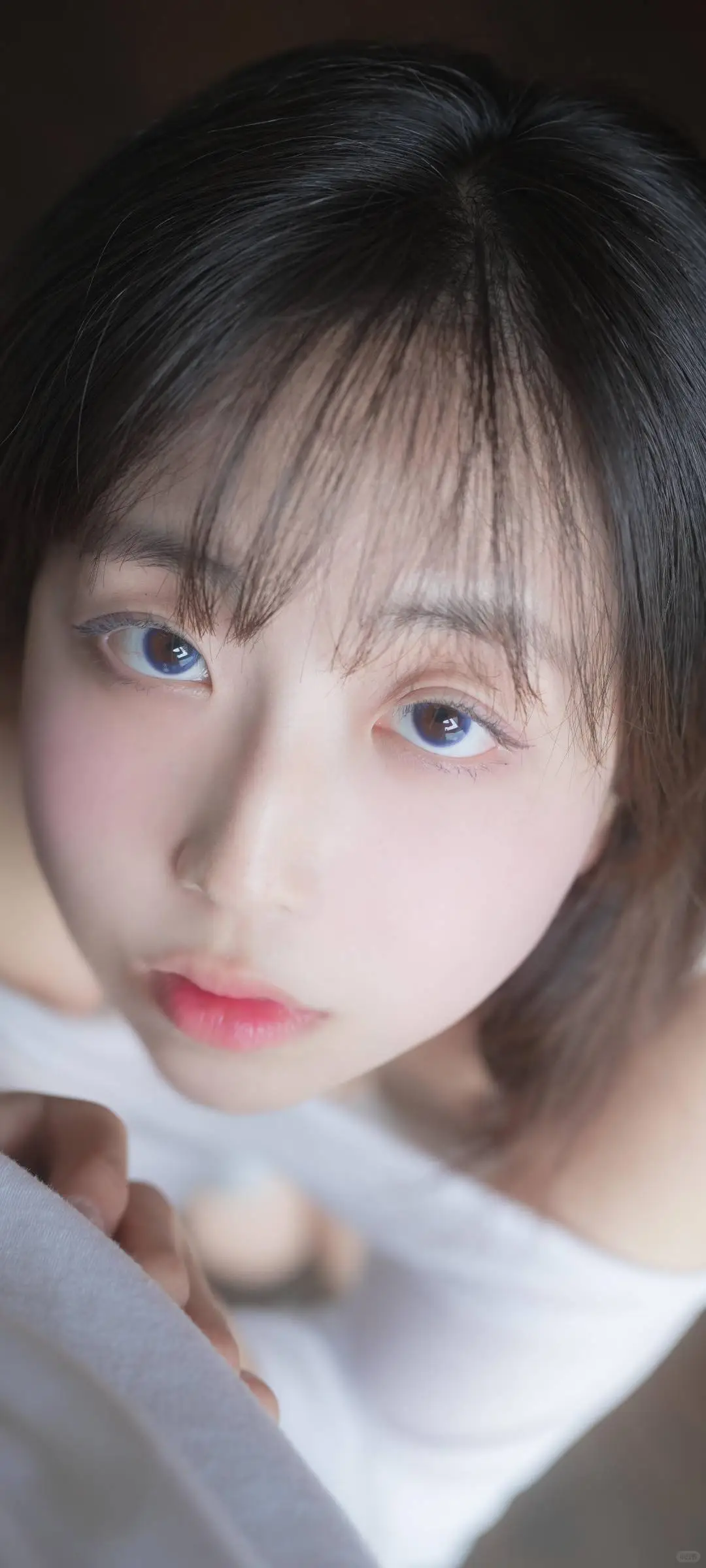 女生壁纸 || 日子滚烫，又热又明亮