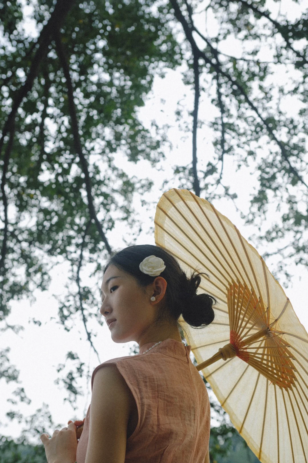 粉黛轻摇曳｜解锁旗袍美人氛围感拍摄全攻略