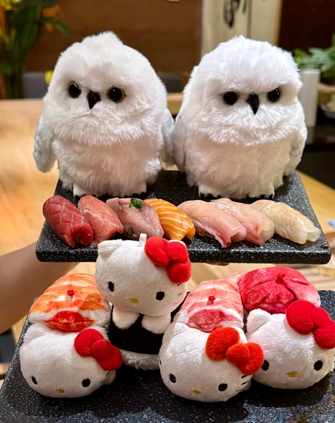 吃了一顿超可爱的Omakase～