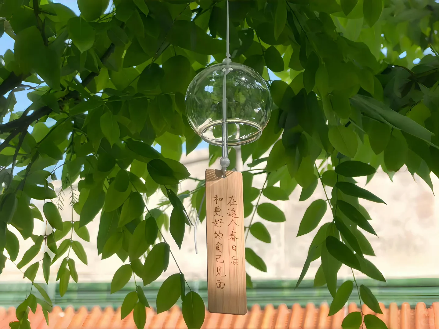 电脑平板壁纸丨高级风景丨高清原图