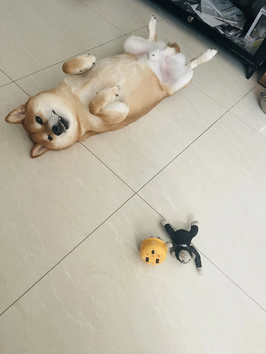 就问你，看不看！