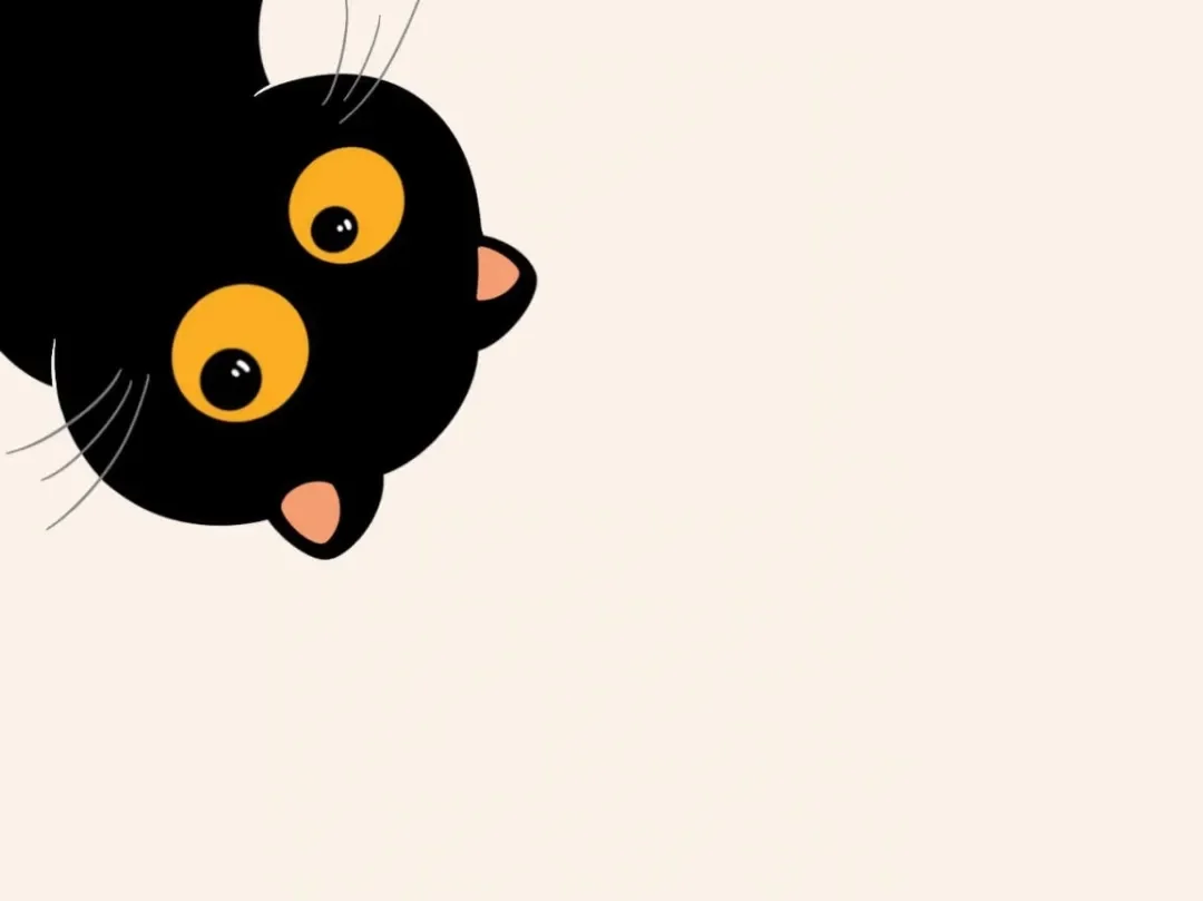猫咪可爱壁纸 iPad 笔记本高清壁纸