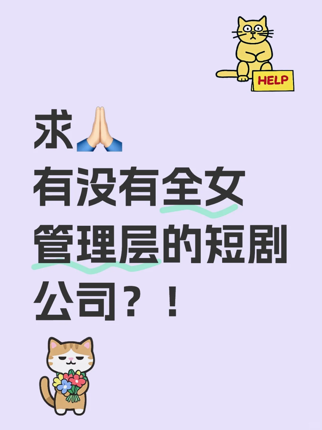 有没有全女管理层的短剧公司？！