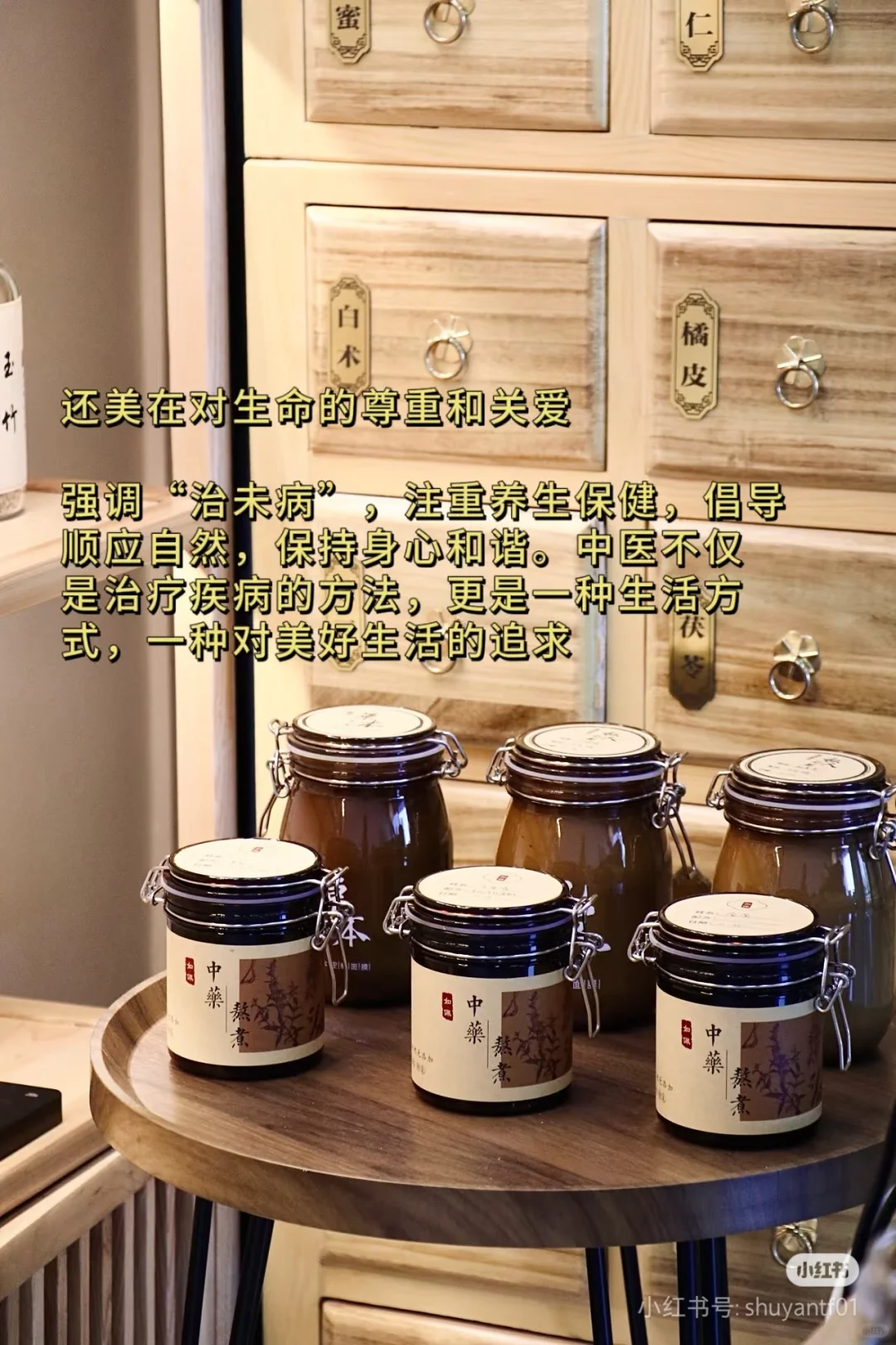 中医之美