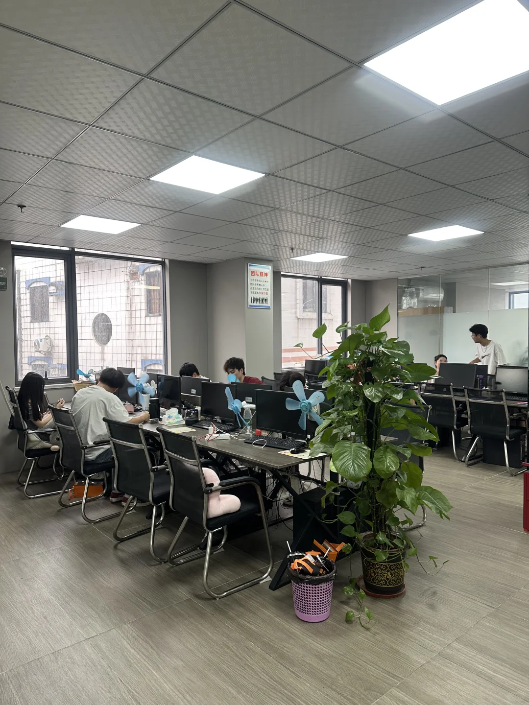 急招办公室文员