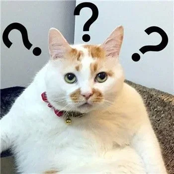 到底是谁在听韩飞飞银行面试？