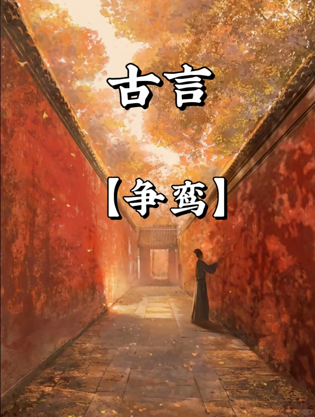 🎪快来看快来看，太好磕了吧啊啊啊👀