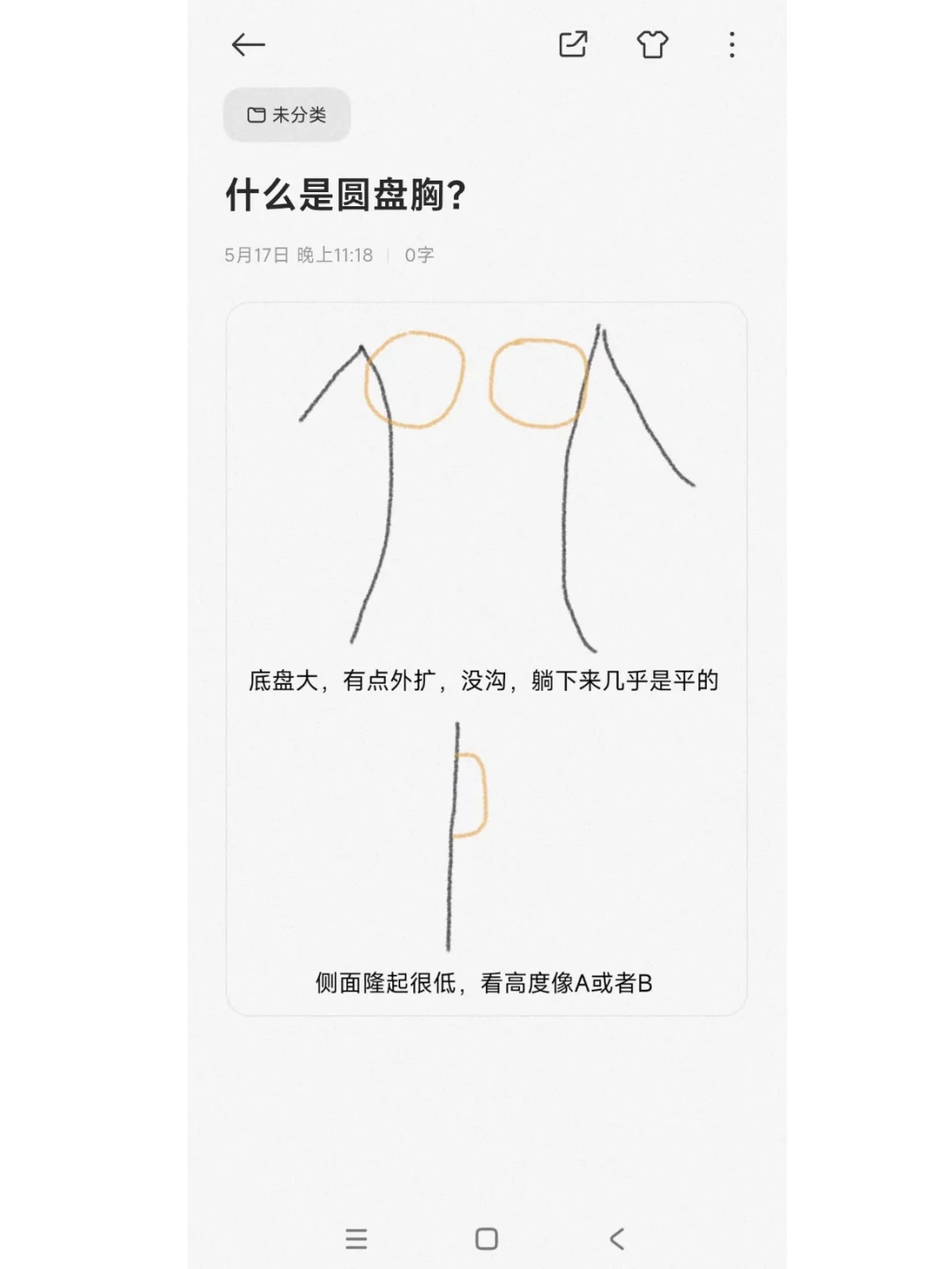 什么是圆盘胸🐻