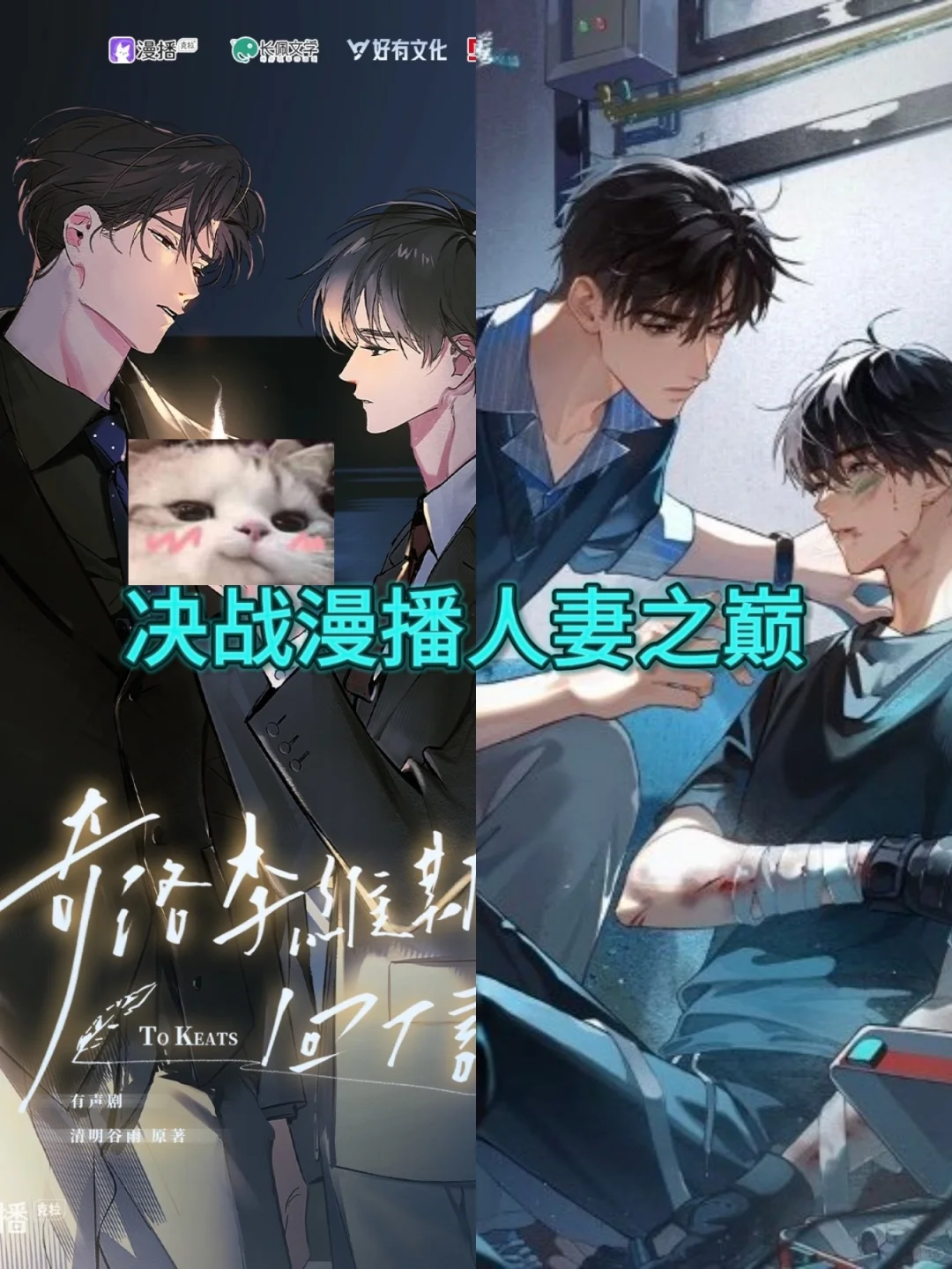 决战漫播人妻之巅