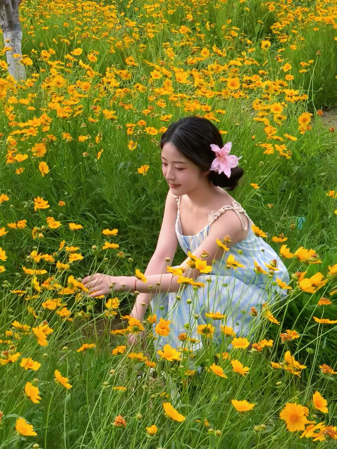 又和米女摄影去拍花花🌸啦