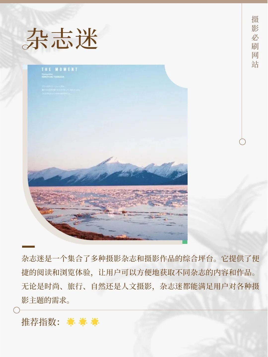 提高审美📸学摄影一定不要错过的摄影网站