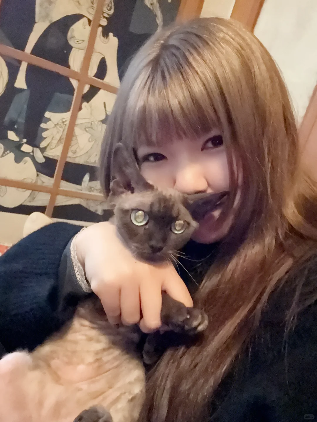 被giegie强制爱的UN