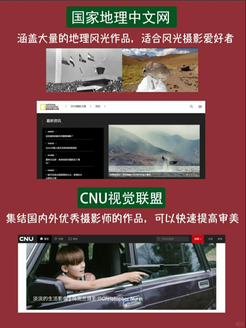 ✔干货分享💊12个摄影网站分享❗
