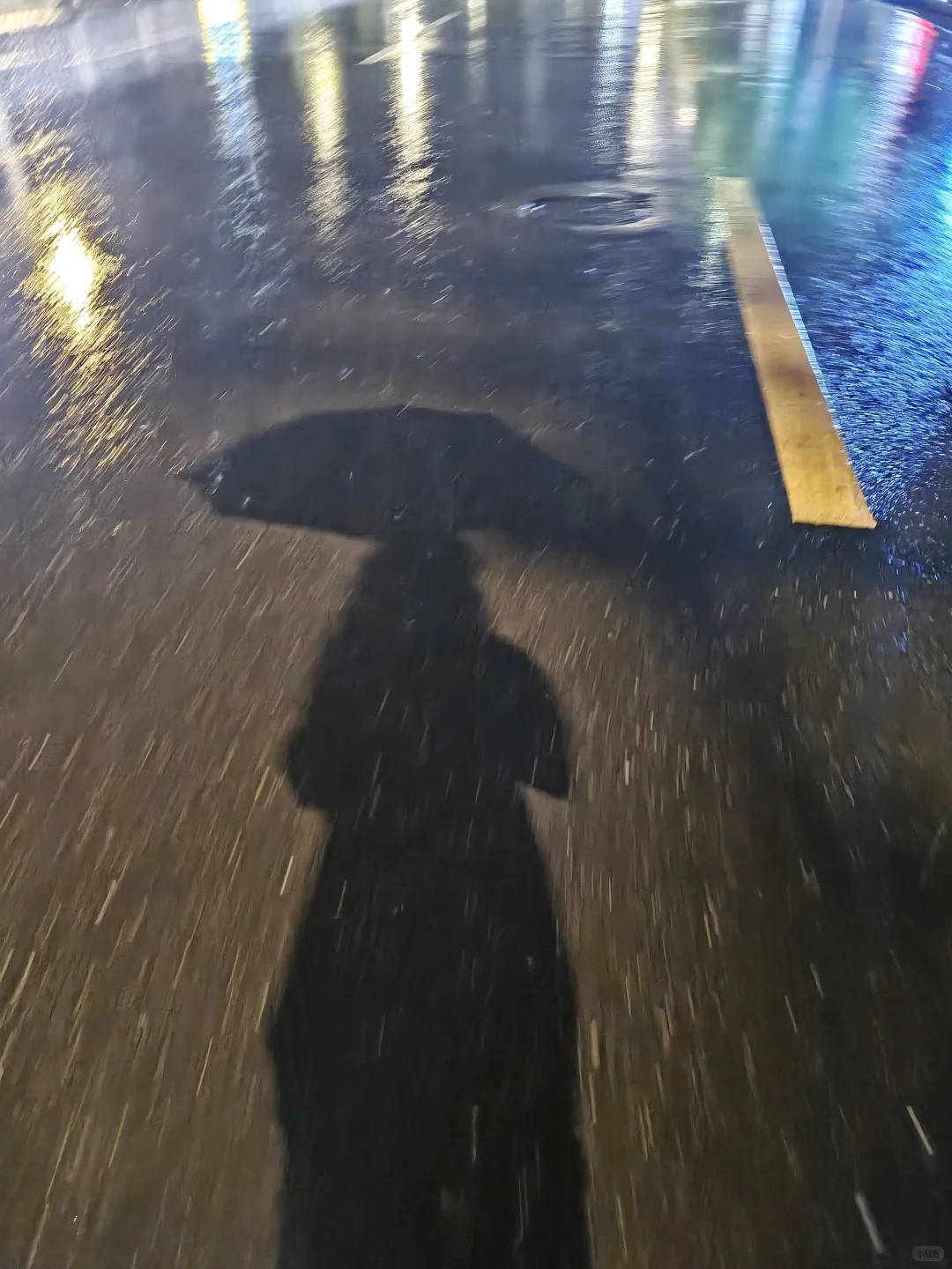 青春不打烊