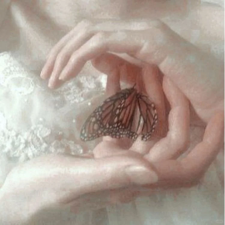 𝓪𝓷𝓰𝓮𝓵𝓬𝓸𝓻𝓮美学