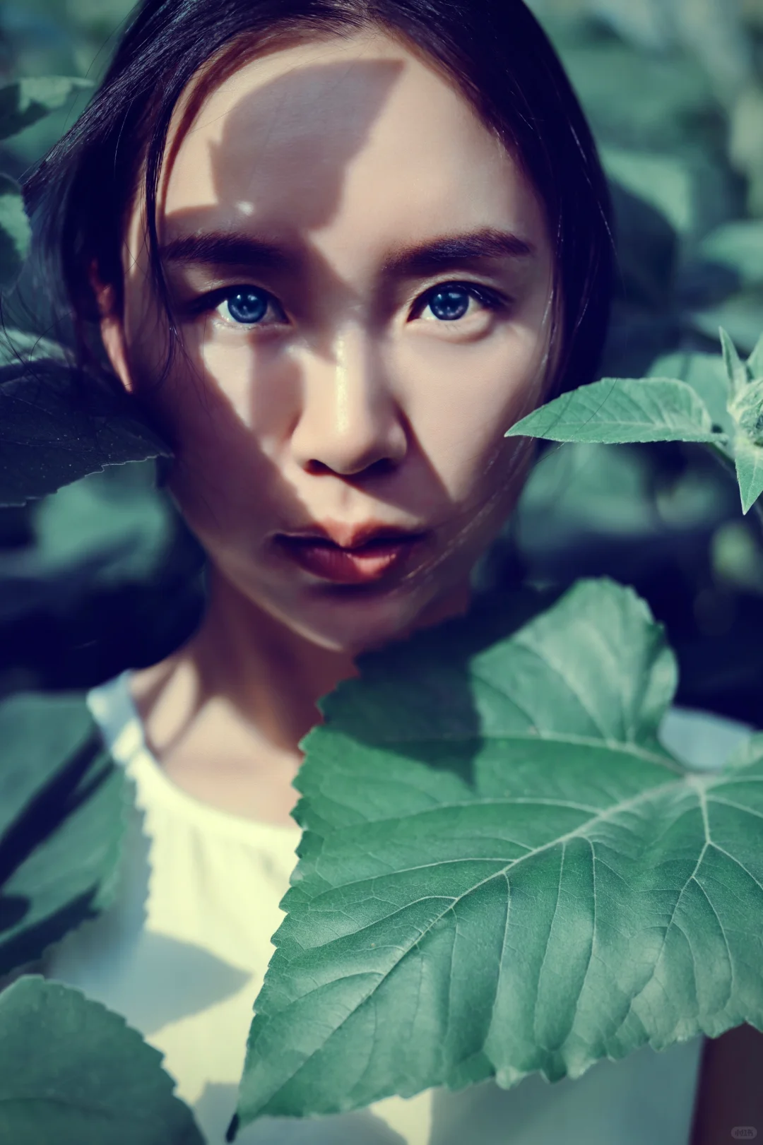 全副武装的女摄影师与向日葵🌻