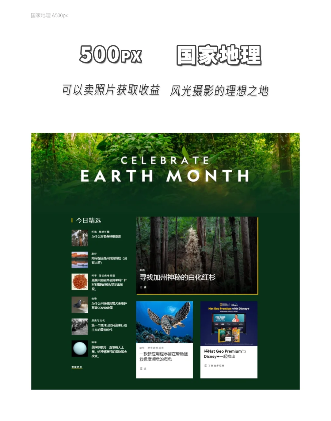 摄影干货｜学摄影必看的10大网站👍提升审美