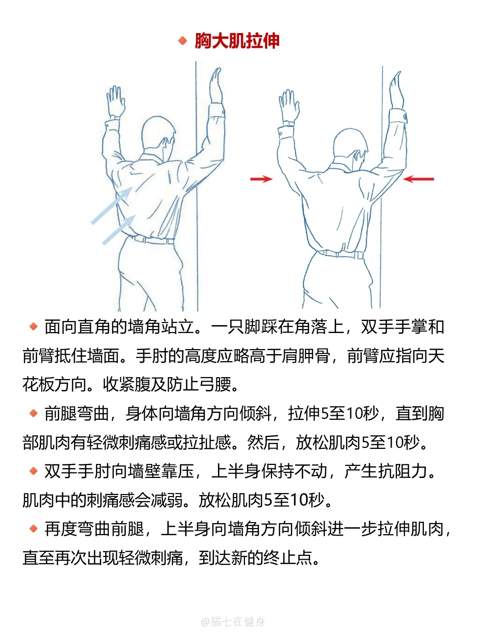 关于「胸大肌」的一切|女生练胸思路