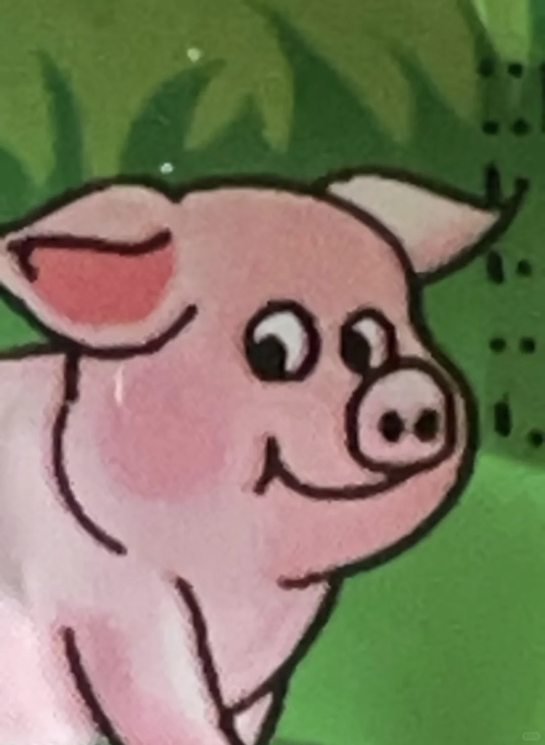 寻找有关这只猪的所有表情包🐷