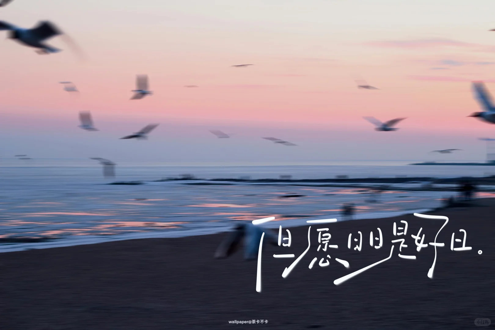 手写✍️06.04｜ipad壁纸/背景图