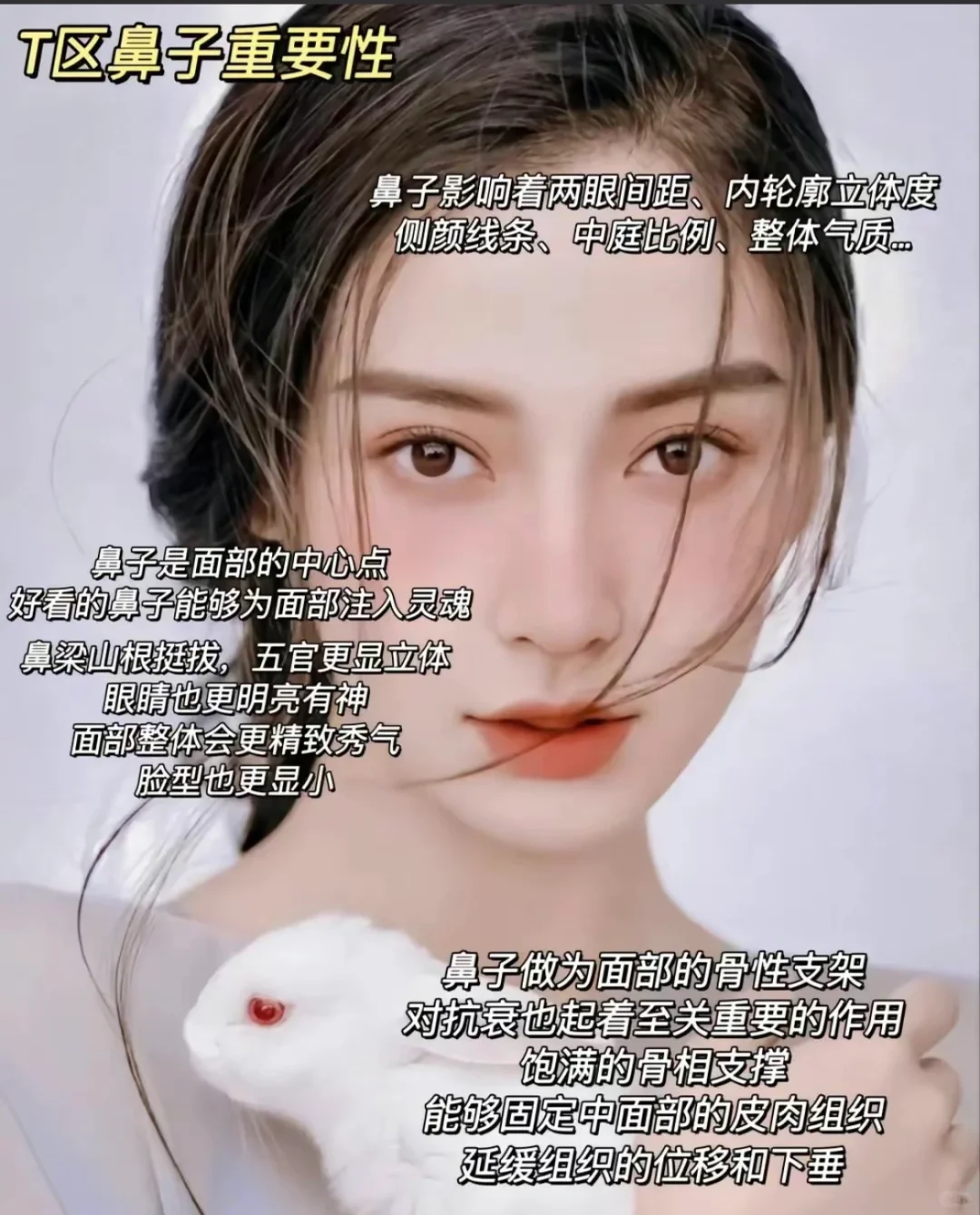 面部美学设计 美出高级感