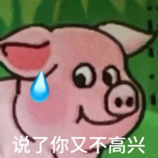 猪猪表情包