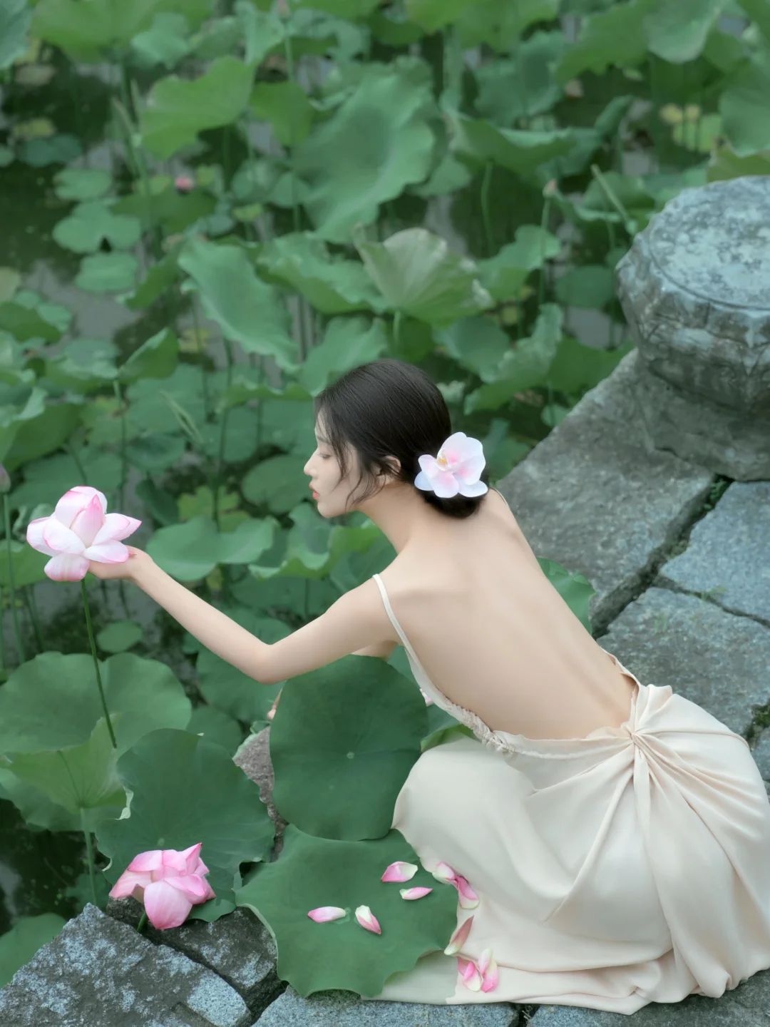 好看到哭😭夏天总要拍次荷花吧｜宏村写真