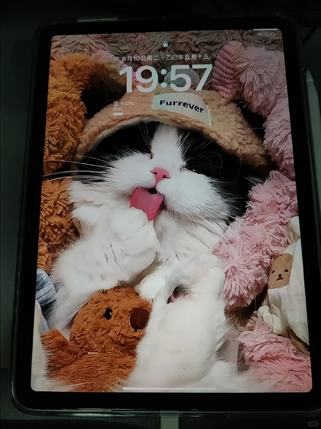 谁有这张iPad壁纸原图求求了