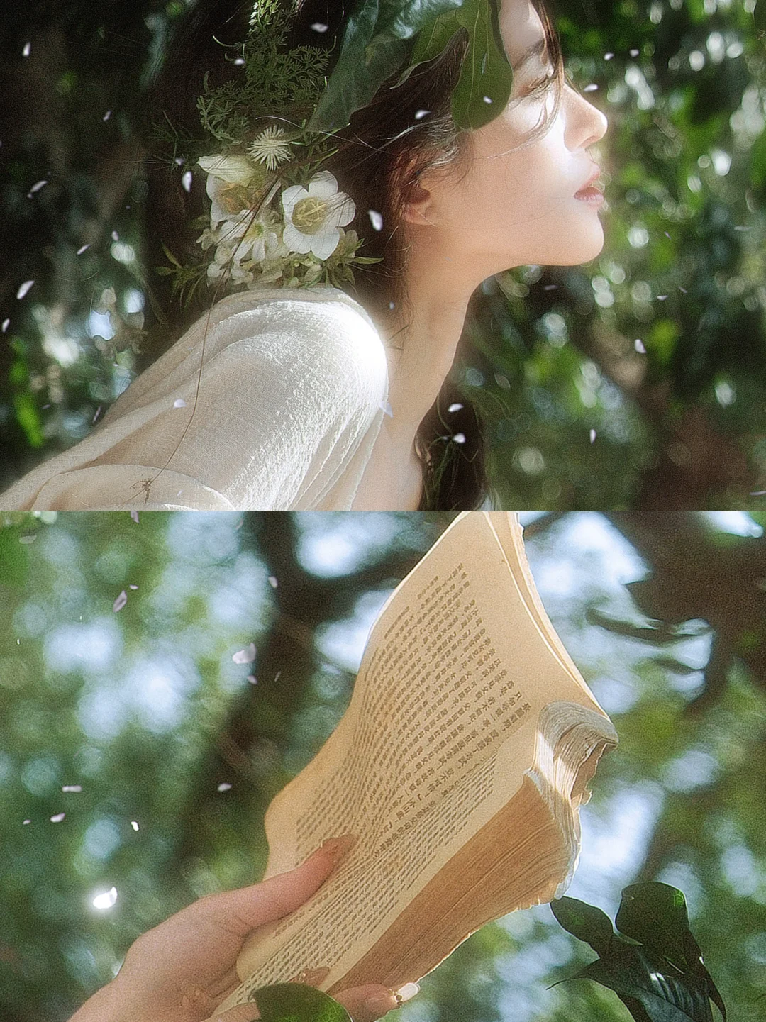 一头扎进那春天里🌸
