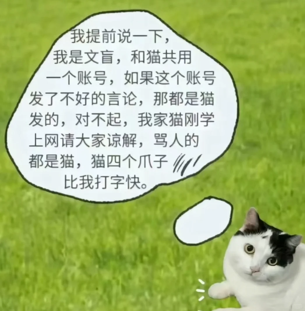 T人专用的认错表情包