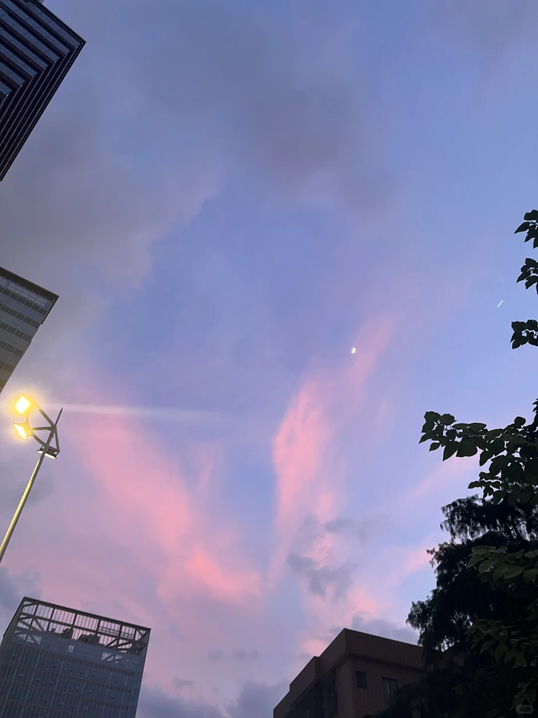 我不管，31了我也要做个元气美少女～