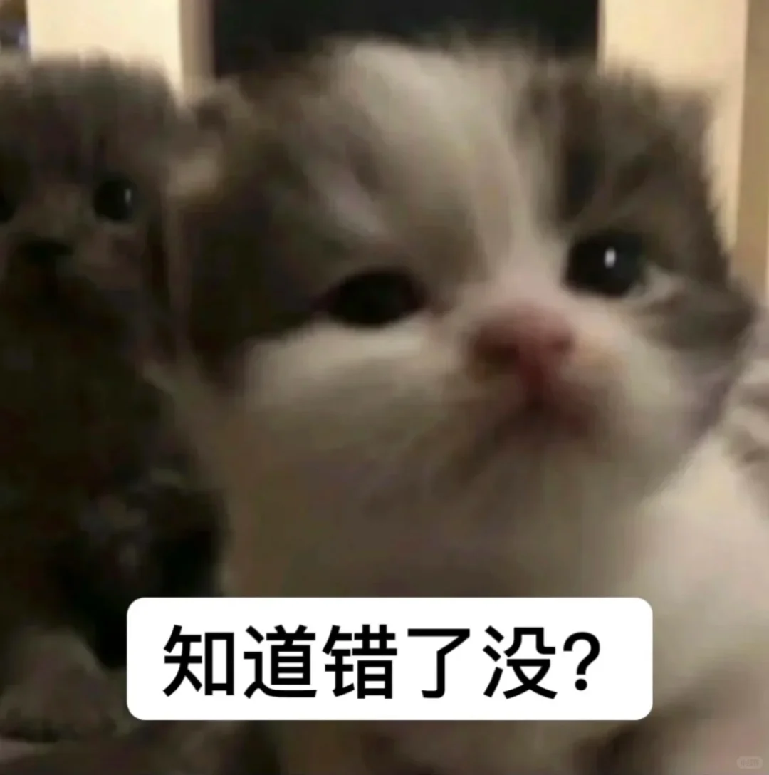 好喜欢这种邪恶的猫猫头