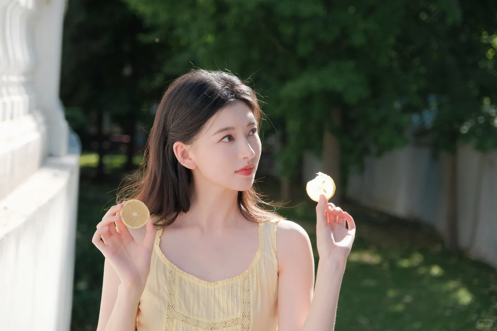🍋夏天