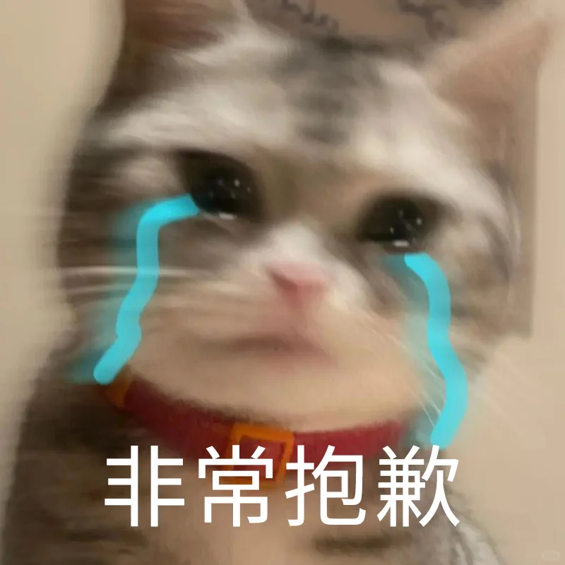 客服聊天表情包又又又更新了哈哈😎