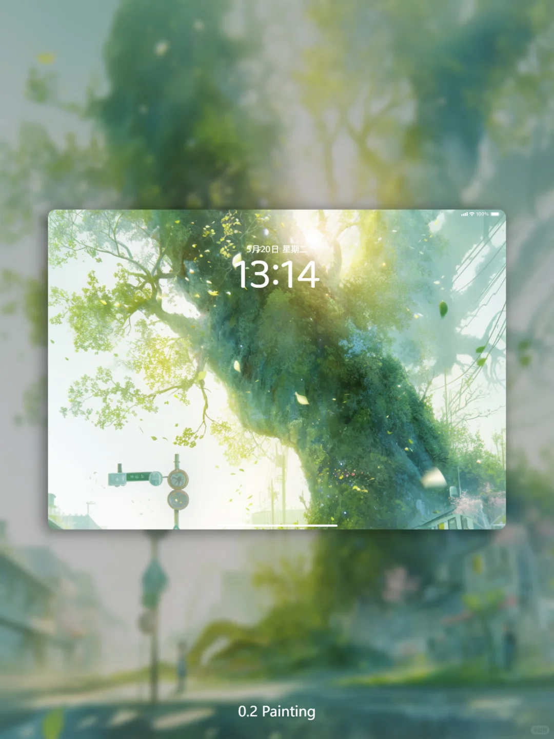 每日壁纸·像树一样，向上生长