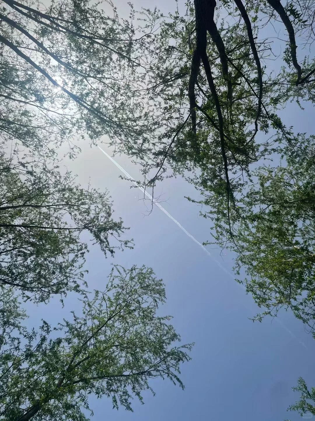🔁三十➕半熟女，我是被社会催熟的