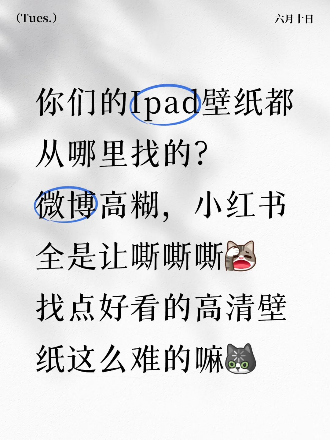 哇！这里都是好看的ipad壁纸！