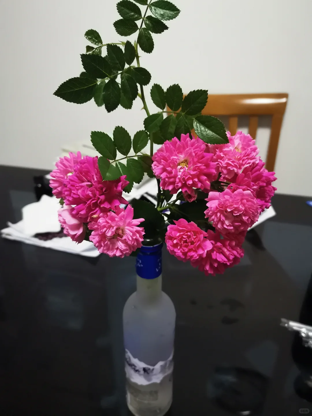 我教过的那些留学生(1)