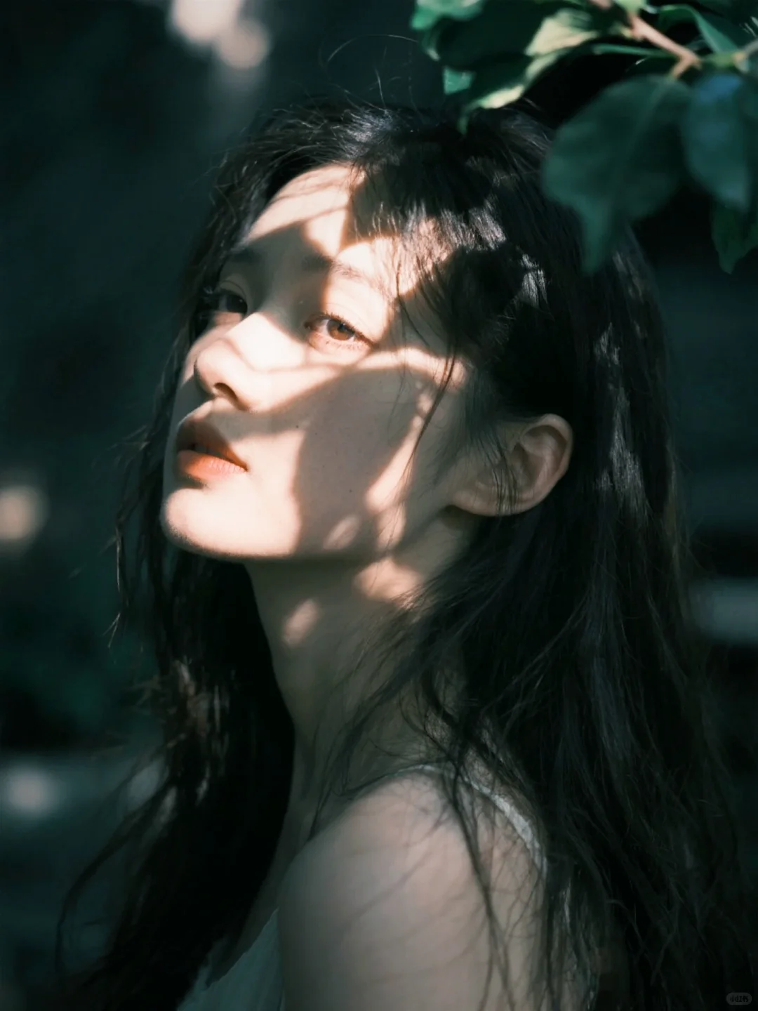 小院光影美学，被阳光偏爱的角落