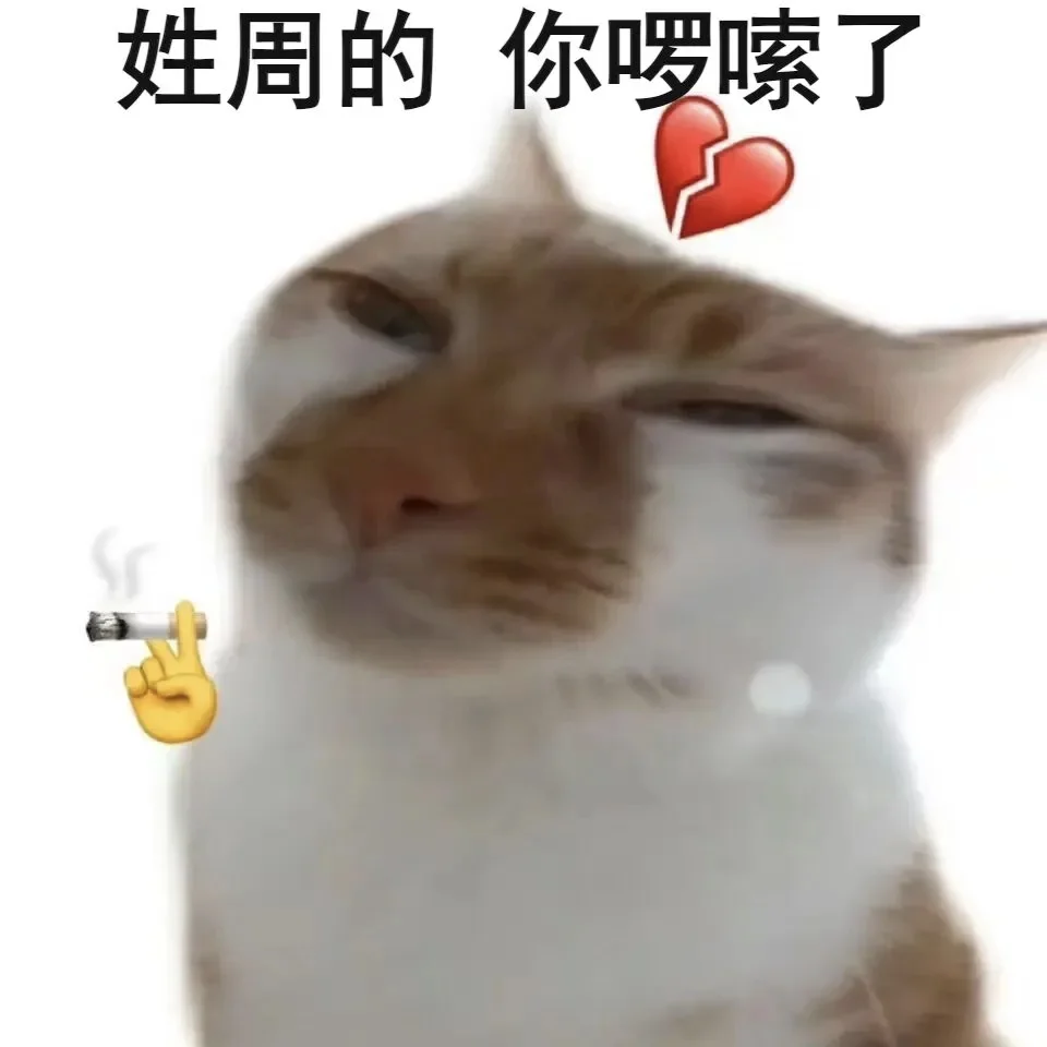 抽象姓氏表情包｜姓X的，你啰嗦了