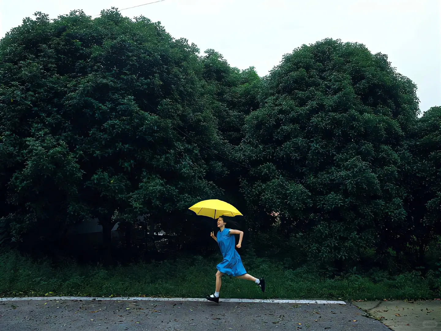 电脑/平板壁纸