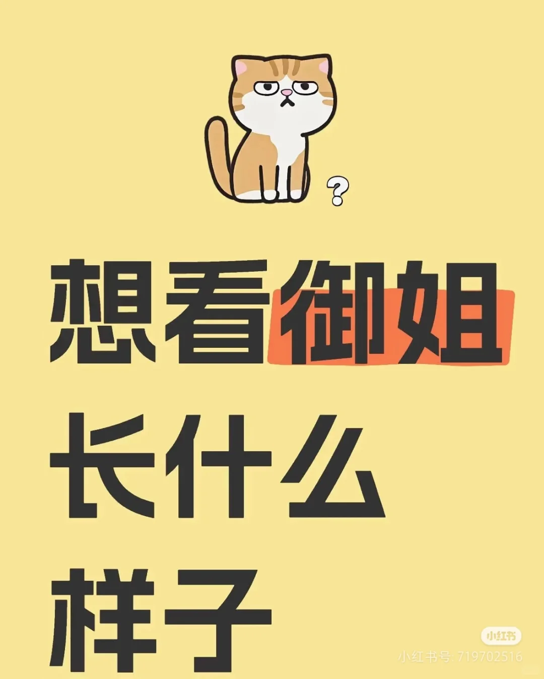 就想看御姐长什么样子！