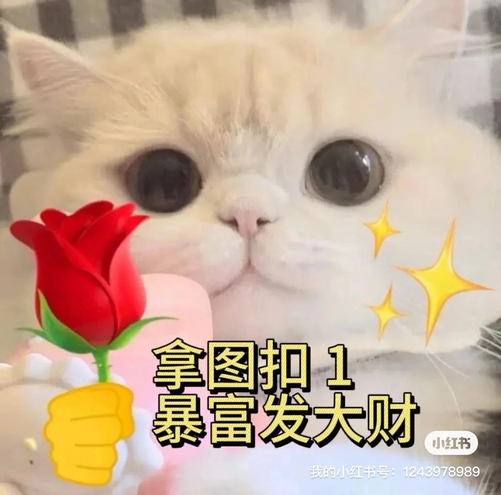 2025你的聊天背景换一个