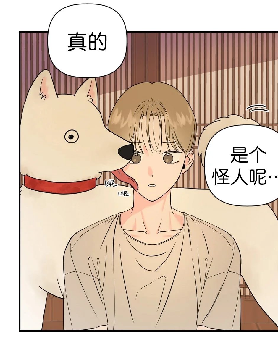 就这么一见钟情，新人警察与美人🐱