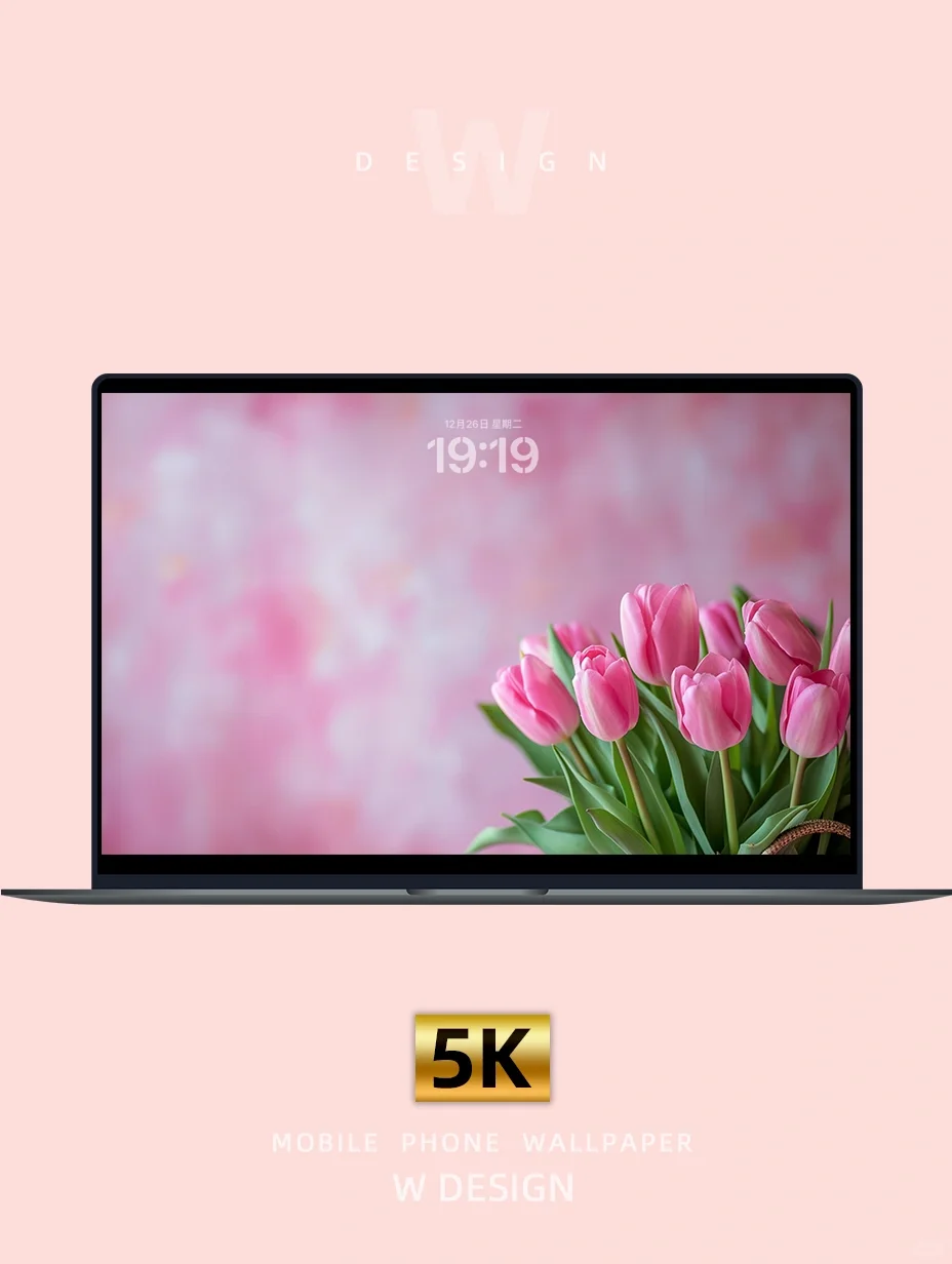 ins风粉嘟嘟郁金香🌷～春意浓壁纸