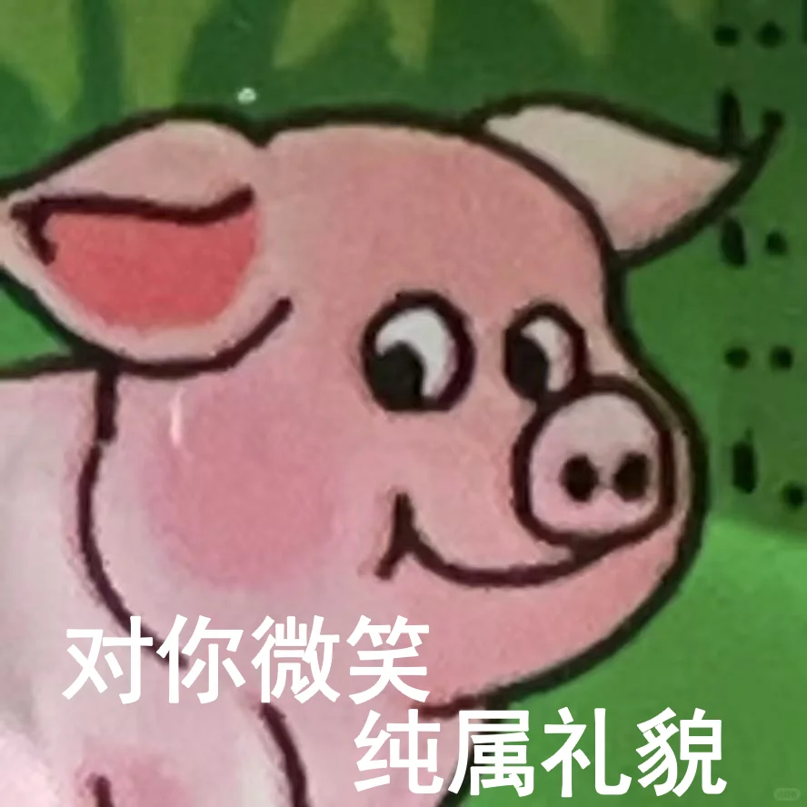 谁懂啊啊‼️爱惨这个火腿猪的表情包