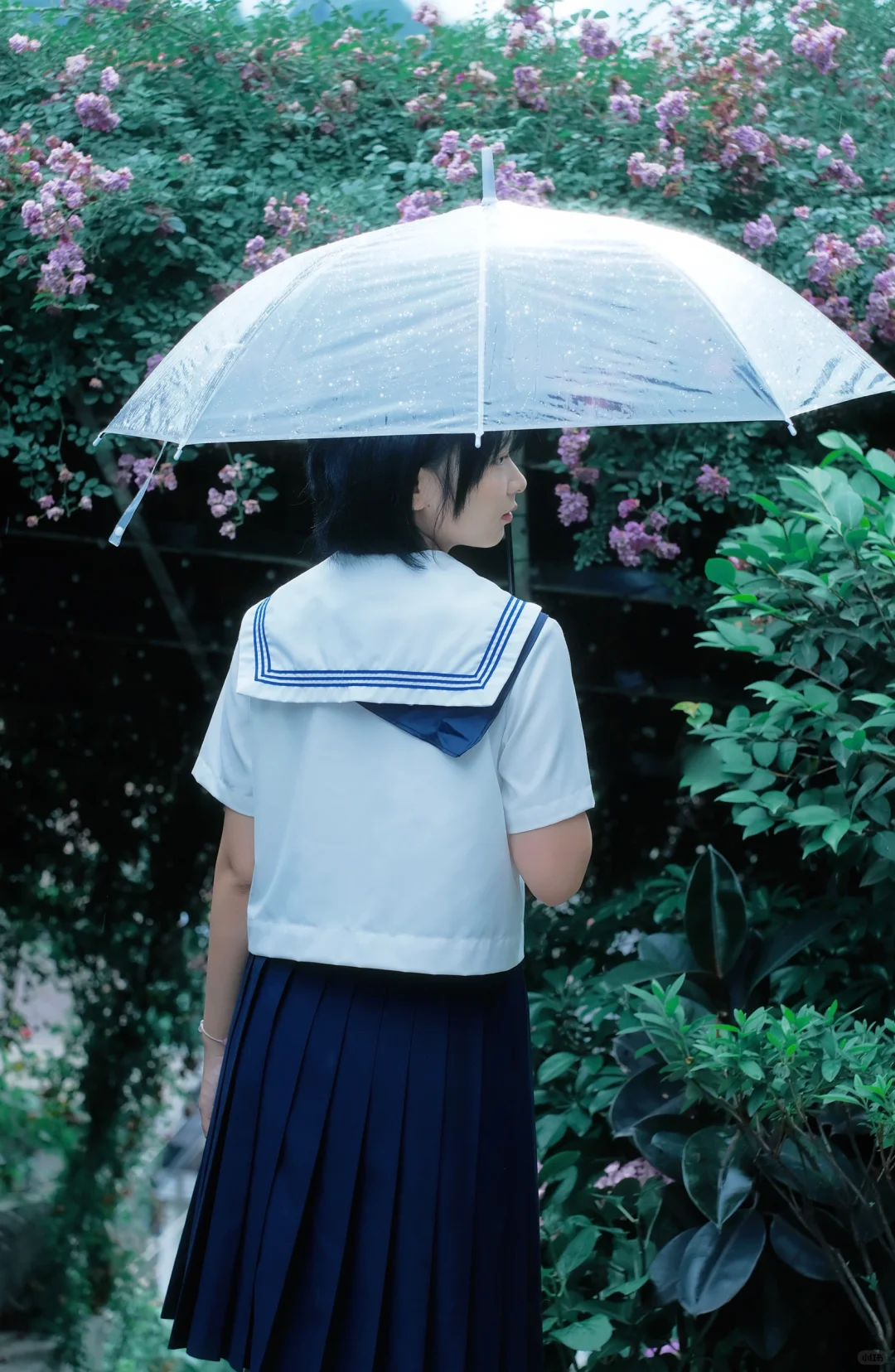 少女的裙摆盛满整个盛夏