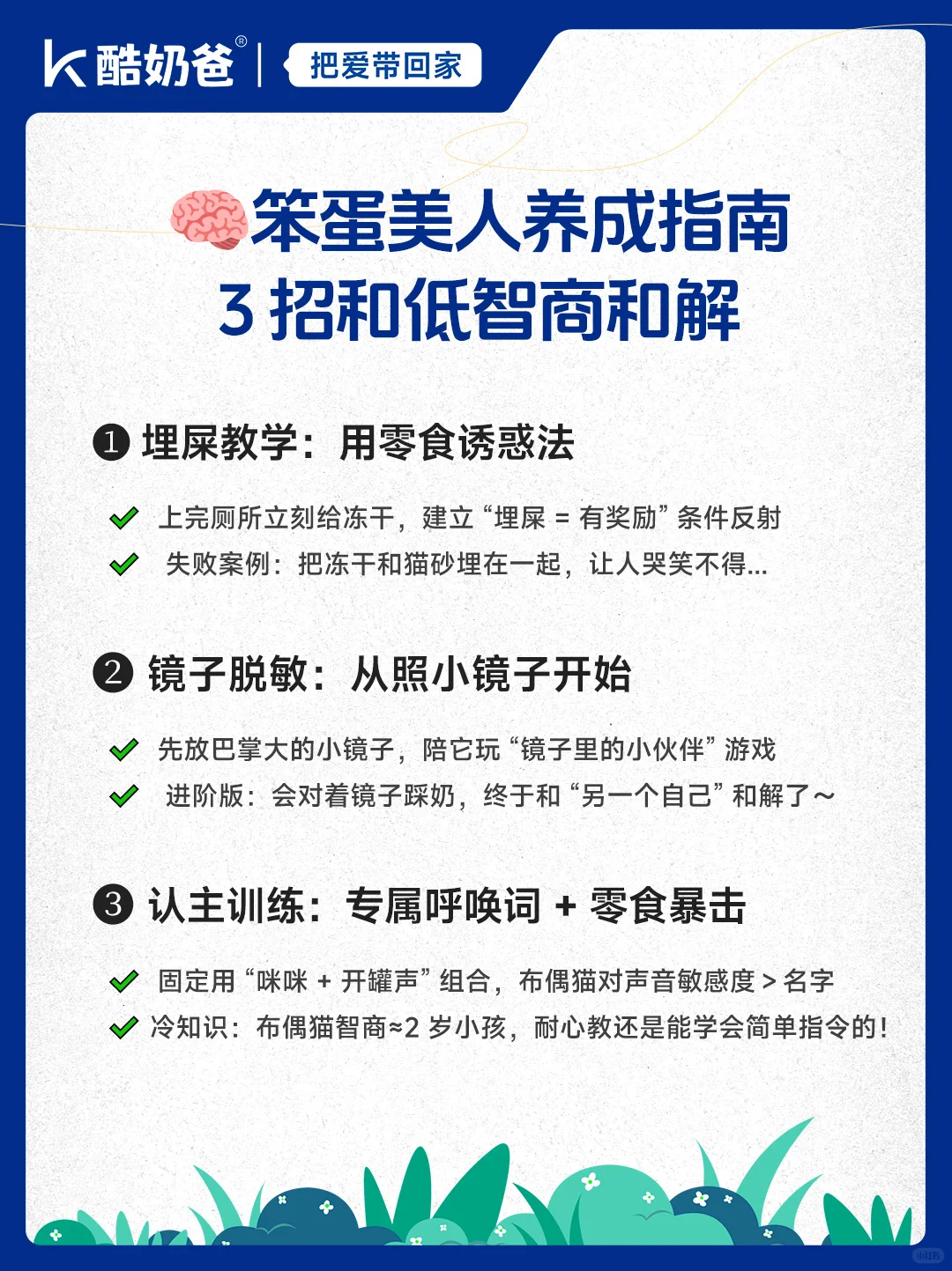 靠脸吃饭的笨蛋美人，傻得让人想 rua！